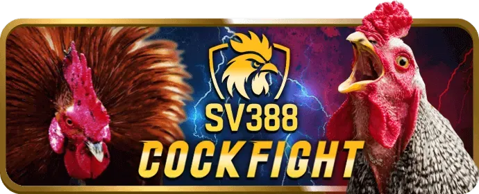 Cá cược thể thao trên Jss77 App